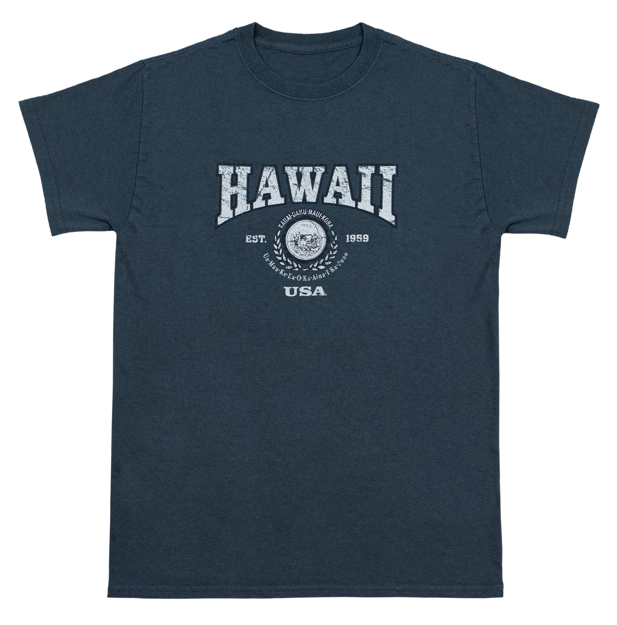 Vintage Dyed Tee - Collegiate: Dark Blue 1 Vintage Dyed Tee - Collegiate: Dark Blue