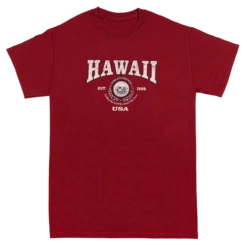 Vintage Dyed Tee - Collegiate: Wine