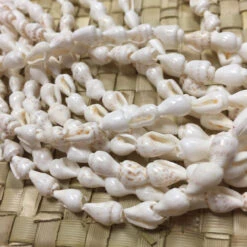 Shell Lei Gift Set -Clothing Sales Store il fullxfull.774749577 l2s8 07390.1592423675.1280.1280 88011.1691605833